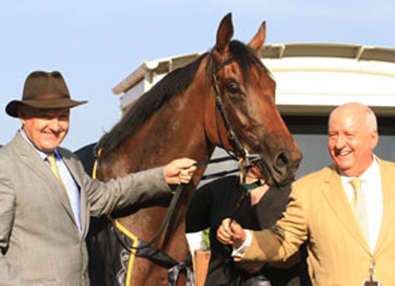 Classic Shot For Guineas Winner