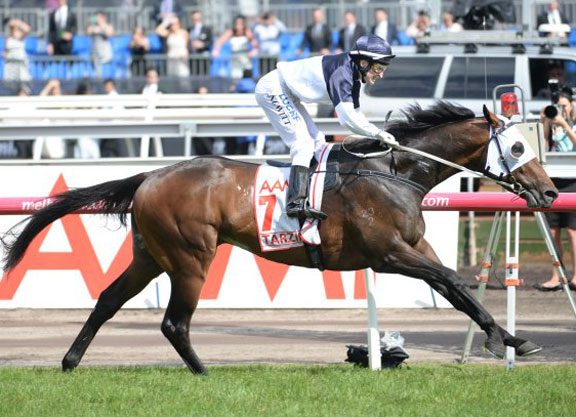 Tarzino Too Strong In VRC Derby