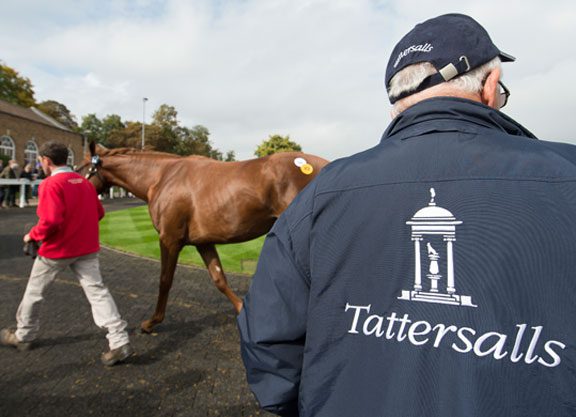 Leigh Dispersal Set For Tattersalls