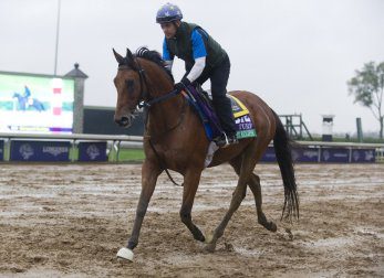 Tuesday’s Breeders’ Cup Trackside Report