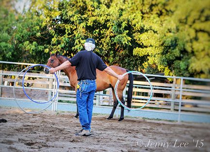 War Vets Pair with Thoroughbreds to Heal Both Humans and Horses
