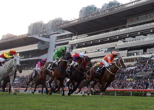 Tattersalls December Sales Commence