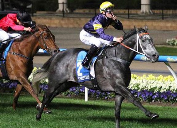 Chautauqua Increasingly Likely for Hong Kong