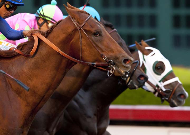 Los Al to Drop Futurity, Starlet in 2016