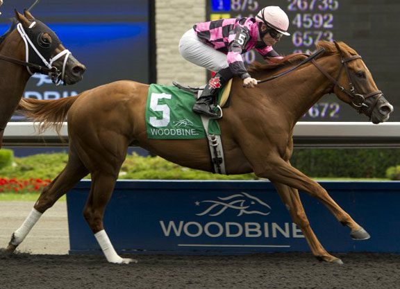 ‘Elusive’ Aims for Perfection in Bessarabian