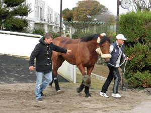 Can Erupt Spoil the Party in Tokyo?