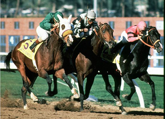 Hollywood Park: All That’s Left is Nothing