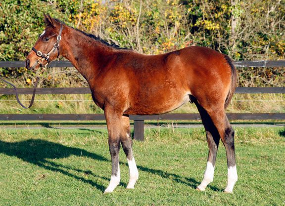 Big Success For Little