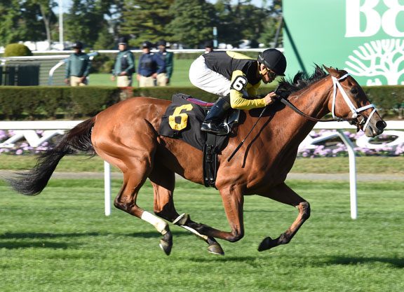 Traffic Jam Looms in Long Island