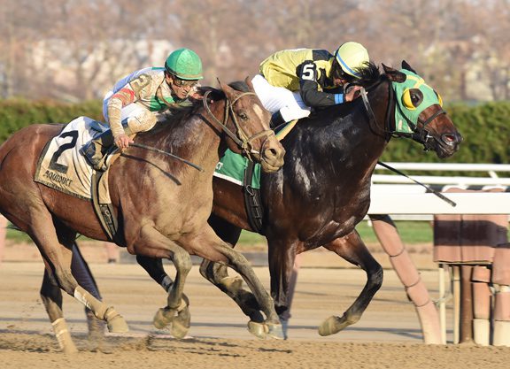 Green Gratto Runs Away With Highweight