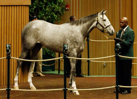 Tapit Filly Runs to the Money, Becomes 'Rising Star' at Churchill