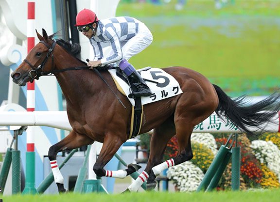 Daughter of Lilacs and Lace Scores on Kyoto Debut