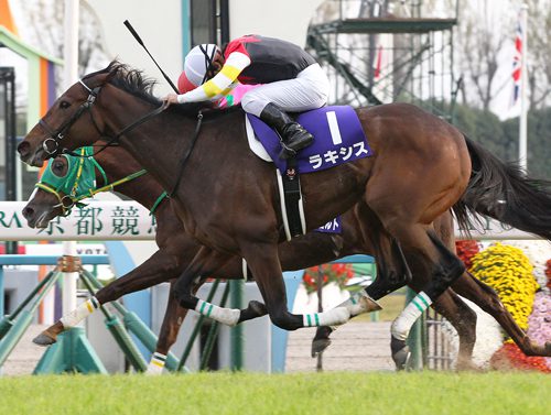 Lachesis Is Horse For The Course