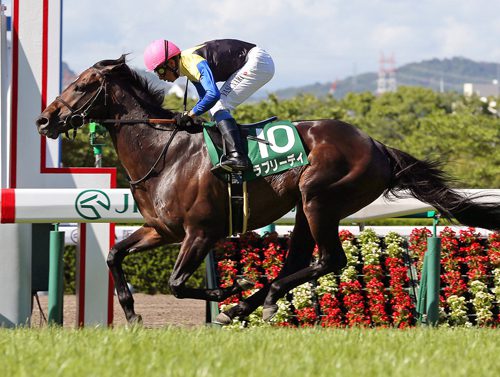 Favored Lovely Day Takes Tenno Sho
