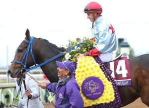MONGOLIAN-SATURDAY---Twinspires-Breeders'-Cup-Turf-Sprint-Gr-I---10-31-15---R04---KEE---Flowers