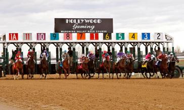 Misidentified Horse Runs, Wins, Pays $222