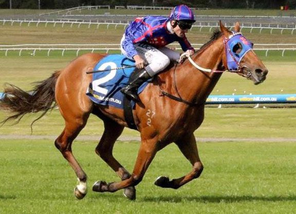 Flying Spur’s Mahuta Shines in Sandown Guineas