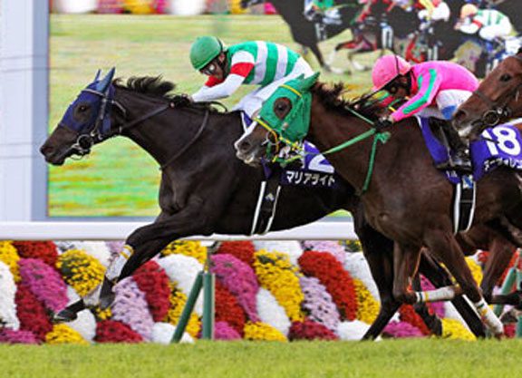 Marialite Crowned in QE II Cup