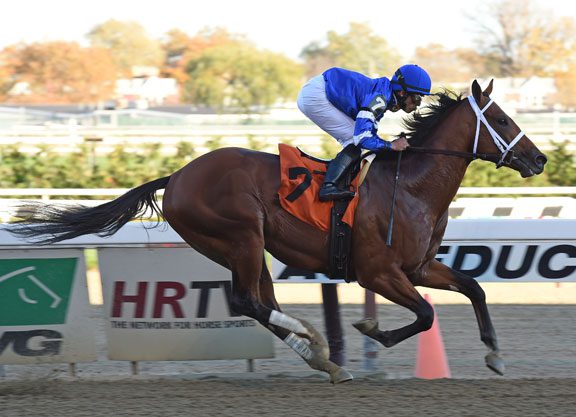 Making His ‘Mark’ Bernardini ‘Rising Star’ Stays Perfect