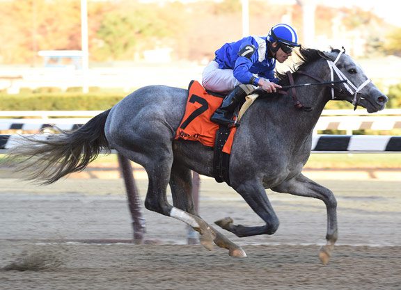Mohaymen Looks to Remsen
