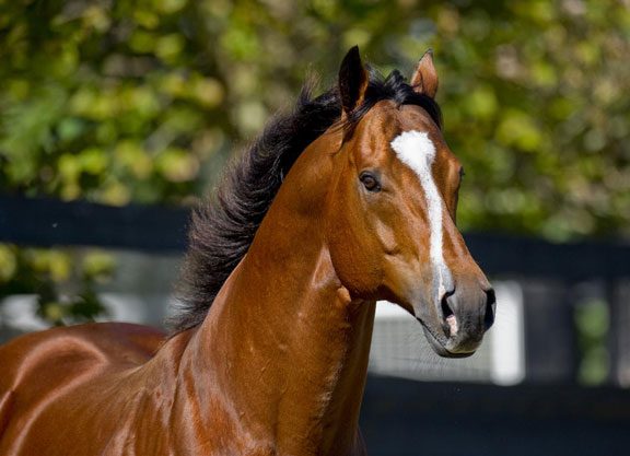 Project Pedigree Comes Full Circle