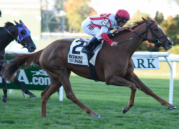 ‘Torpedo’ Locked on Mrs. Revere Title