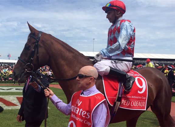 Red Cadeaux Euthanized