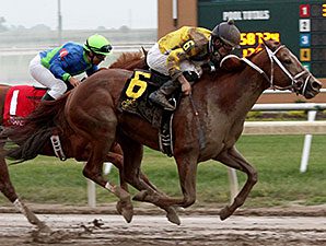 ‘Nicole’ a Fresh Threat in the Chilukki