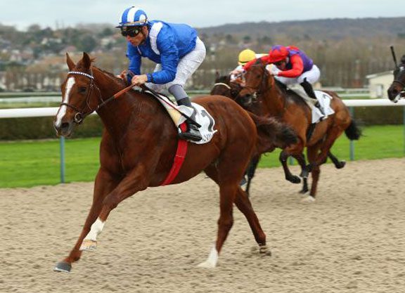 Kitten's Joy Colt Doubles His Tally For Shadwell At Deauville
