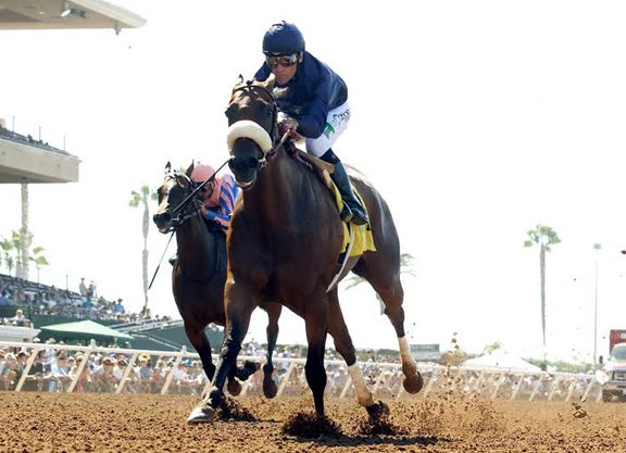 A Homecoming of Sorts for Taris in Go For Wand