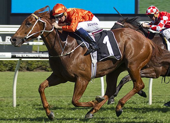 Terravista to Spell, HK Off the Table