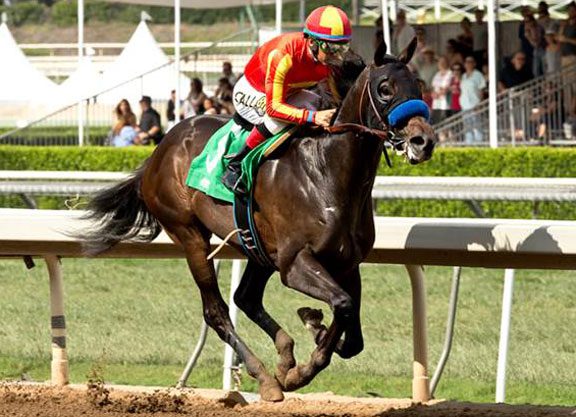 Jury Still Out in Bob Hope