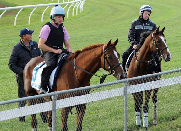 Stars Come Out At Werribee