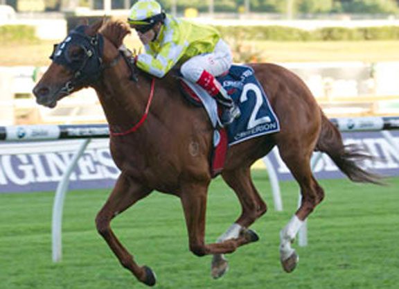 Criterion On The Road Again