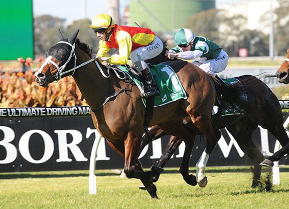 Boilover as Delectation wins G1 Darley Classic