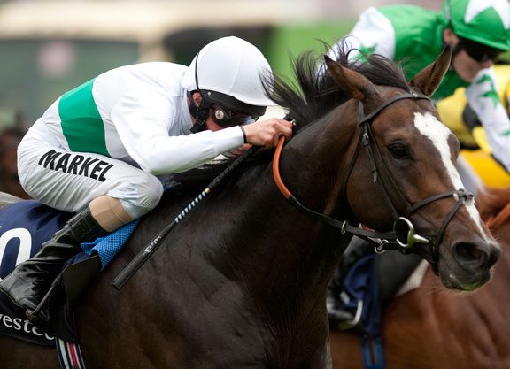 Seven Added to Tattersalls December