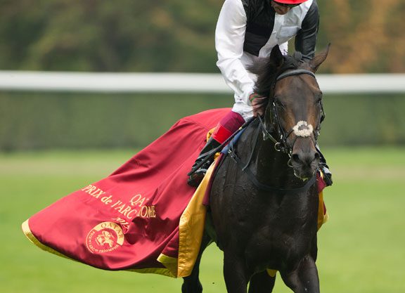 Golden Horn Is Cartier Horse of the Year