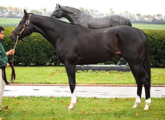 Lane’s End Welcomes New Sires