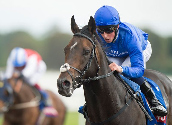 Sibling of G1 Irish Derby Winner Jack Hobbs Graduates at Kempton