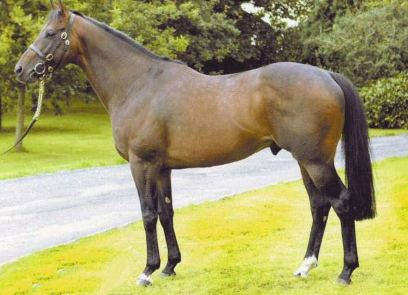 Fee Hikes For Le Havre, Kodiac