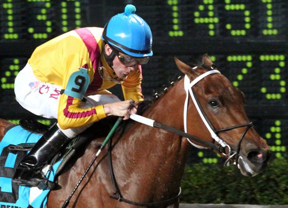 Stonestreet Filly Looms Large in Princess