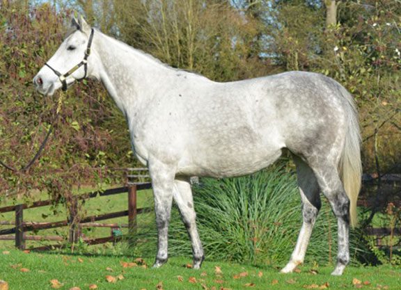 L’Amour Offers Galileo Opportunity