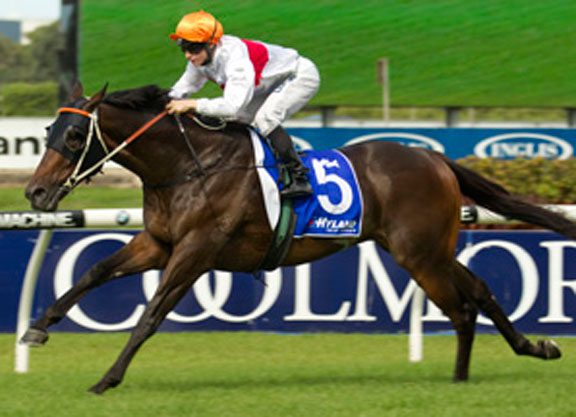 Messene Faces Local Talent In Railway