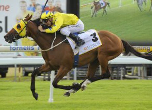 Vet Found Guilty In Cobalt Case