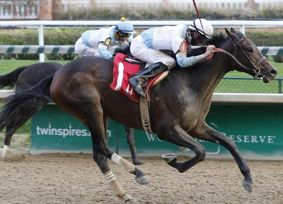 Another Stakes Winner for Uncle Mo in the Street Sense