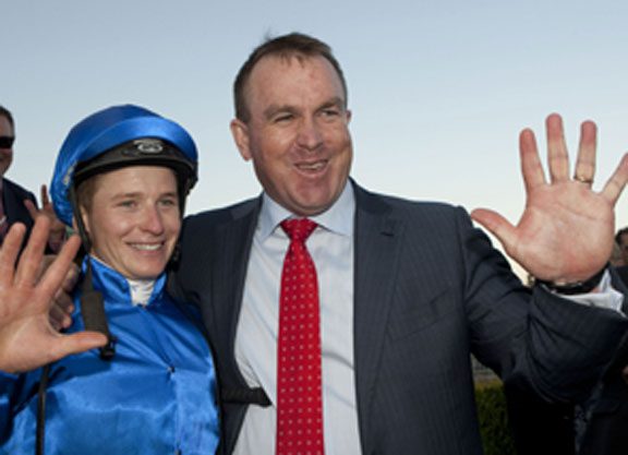 Ambience Right For Oaks