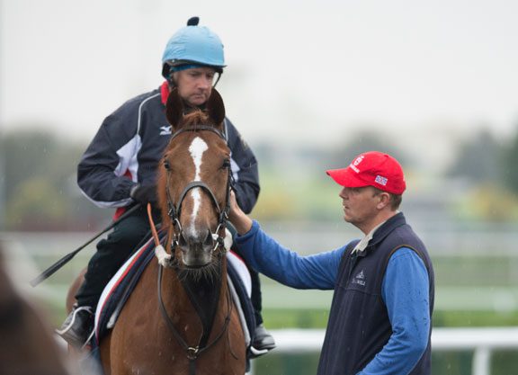 Stable Musings With Ed Dunlop