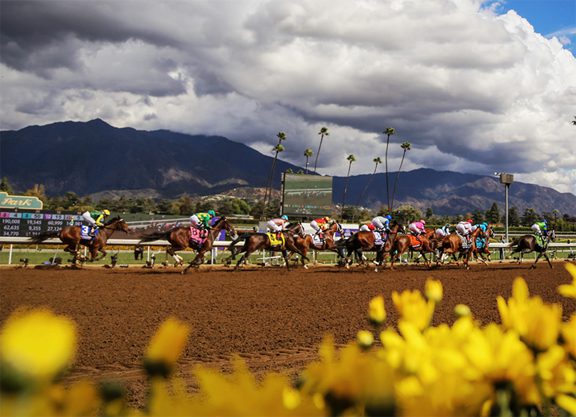 Santa Anita Releases Winter Stakes Schedule