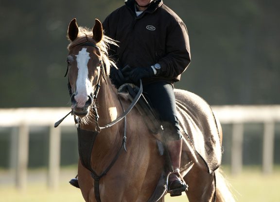 Leigh Stock To Be Dispersed At Tatts