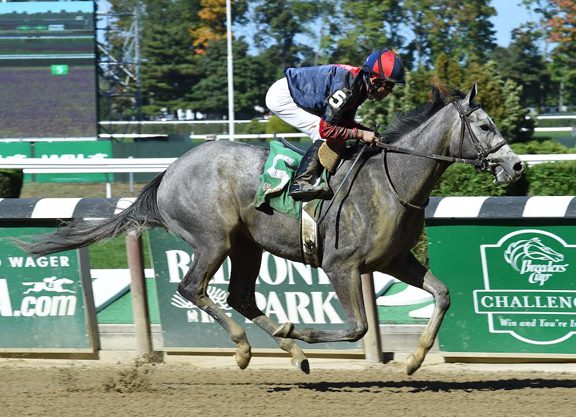 Warm ‘Welcome’ to the Big A Fall Meet